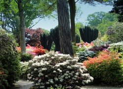 Park