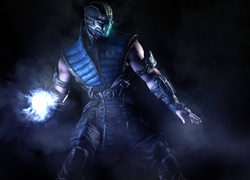 mortal kombat x,sub-zero
