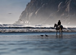Morze, Fale, Człowiek, Jeździec, Koń