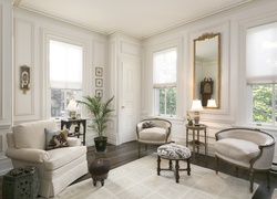 Salon, Lustro