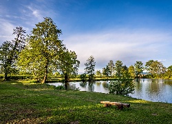 Park, Staw, Przebijające, Światło, Zagrzeb