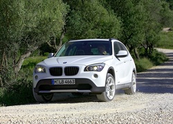 BMW, X1, Samochód