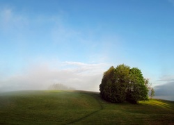 Łąka, Dróżka, Drzewo, Niebo