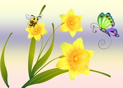 Kwiaty, Żonkile, Motyle