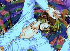 Saiyuki, manga, hipis