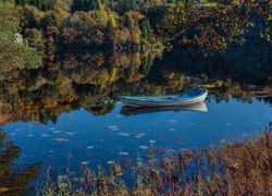 Norwegia, Jezioro, Łódka, Las, Odbicie