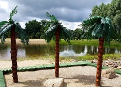 Jeziorko, Kamienie, Palmy