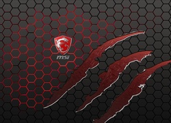 MSI