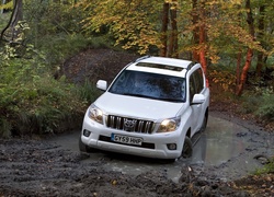 Toyota, Samochód, Land Cruiser