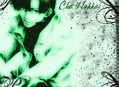 Saiyuki, cho, hakkai, postać, facet