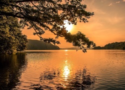 Jezioro, Drzewo, Wschód, Słońca