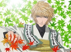 Saiyuki, facet, liście