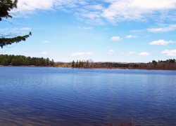 Jezioro, Simcoe, Ontario, Kanada, Drzewa, Niebo