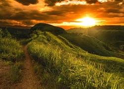 Pole, Zachód słońca, Ścieżka, Chmury, Filipiny