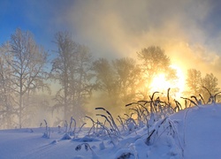 Zima, Wschód słońca, Mgła, Drzewa, Śnieg