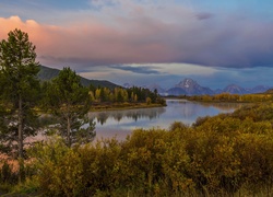 Stany Zjednoczone, Stan Wyoming, Park Narodowy Grand Teton, Góry, Drzewa