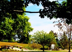 Park, Miejski, Mostek, Drzewa, Fontanna, Oakville, Ontario, Kanada