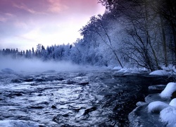 Zima, Rzeka, Mgła, Drzewa