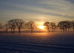 Zima, Pole, Zachód słońca, Drzewa