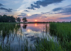 Jezioro, Trawa, Drzewa, Zachód słońca