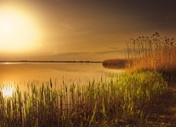 Jezioro, Zachód, Słońca, Trawa