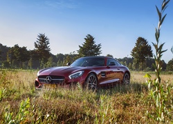 Samochód, Mercedes AMG