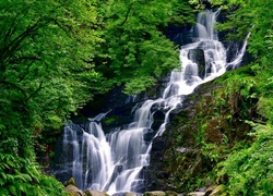 Wodospad Torc w Parku Narodowym Killarney