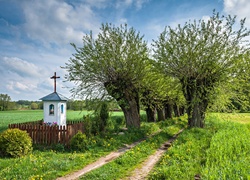 Droga, Wierzby, Kapliczka, Pola, Polska