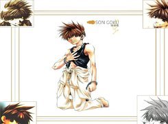 Saiyuki, son, goku, facet