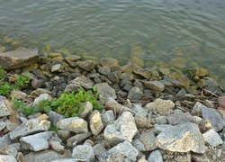Kamienie, Jezioro