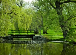 Zielony, Park, Rzeka, Drzewa, Most, Lato