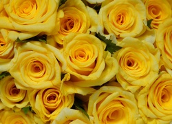 Żółte, Róże, Bukiet
