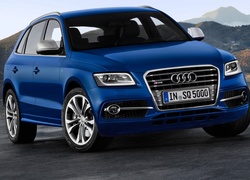 Audi SQ5, Samochód