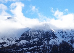 Góry, Śnieg, Drzewa, Chmury, Mgła
