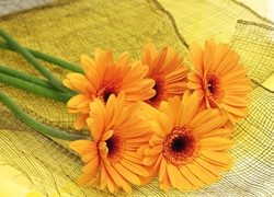 Kwiaty, Gerbery, Pomarańczowe