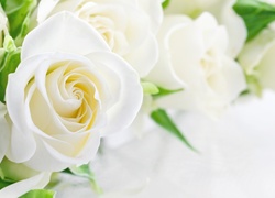 Biała, Róża