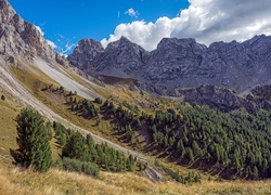 Góry, Drzewa, Chmury