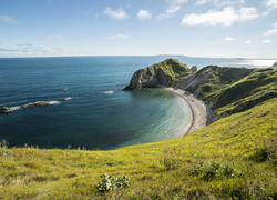 Morze, Zatoka, Plaża, Góry, Trawa