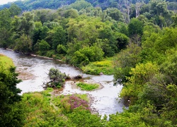 Zakole, Rzeki, Drzewa, Las, Park, Ontario, Kanada