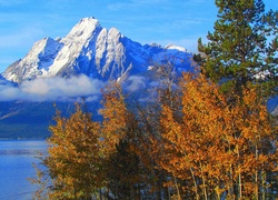 Stany Zjednoczone, Stan Wyoming, Park Narodowy Grand Teton, Góry, Szczyt Mount Moran, Drzewa, Jezioro Jackson Lake