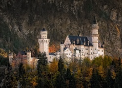 Zamek, Neuschwanstein, Niemcy