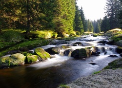 Strumień, Rzeka, Kamienie, Las