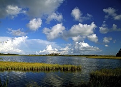 Jezioro, Niebo, Zarośla