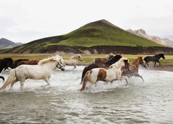 Konie, Rzeka
