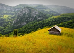 Rumunia, Góry, Lasy, Drewniana, Chatka