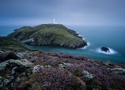 Park, Narodowy, Pembrokeshire Coast, Wybrzeże, Latarnia, Morska, Wrzosy, Walia, Wielka, Brytania