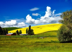 USA, Idaho, Farma, Pola, Łąki, Wzgórza