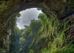 Las, Deszczowy, Amazonia, Jaskinia
