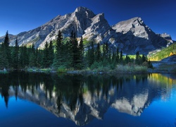 Jezioro, Góra Kidd RV Park, Drzewa, Lasy, Prowncja Alberta, Kanada