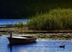 Jezioro, Gołdopiwo, Mazury